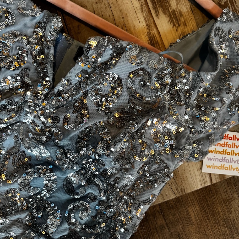 Elegant Powder Blue and Silver Sequin Gown - Picture 8 of 17